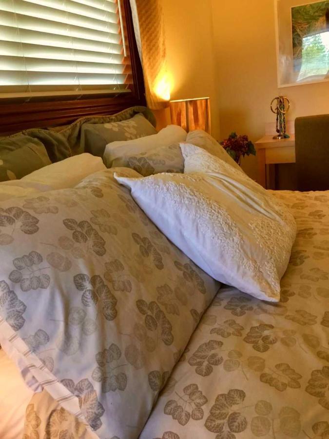 High Hopes Bed And Breakfast エクステリア 写真